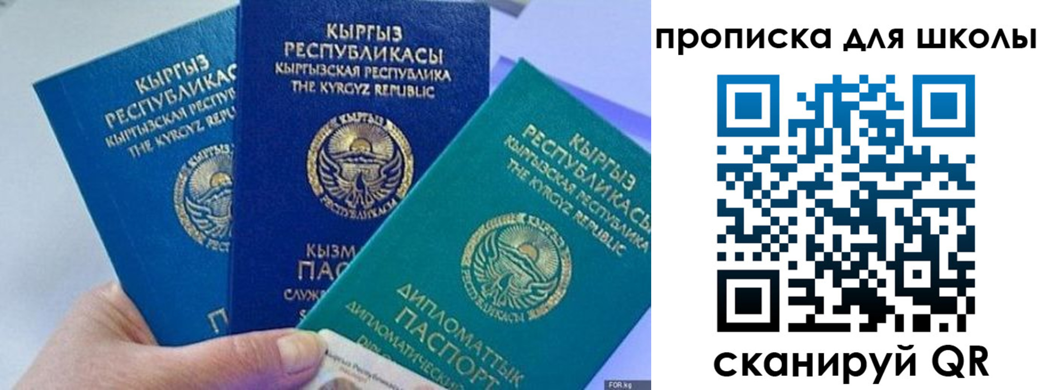 прописка регистрация в Александрове